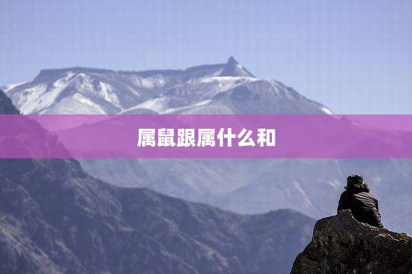 属鼠跟属什么和