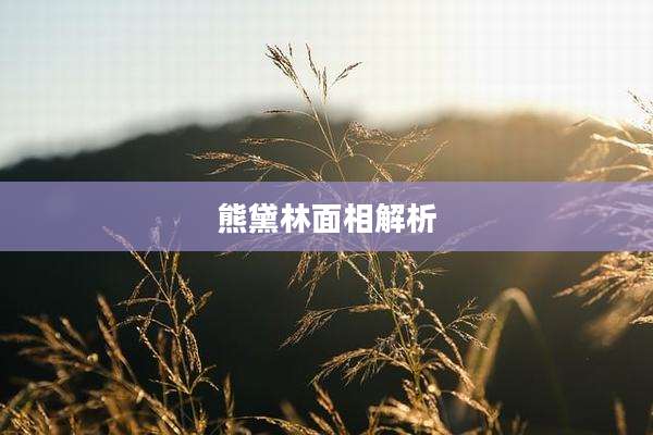熊黛林面相解析