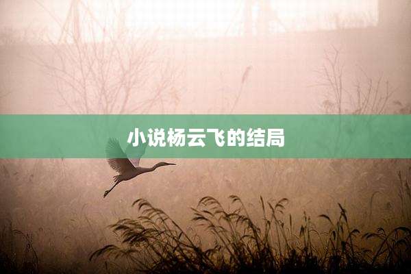 小说杨云飞的结局