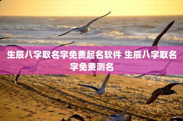 生辰八字取名字免费起名软件 生辰八字取名字免费测名