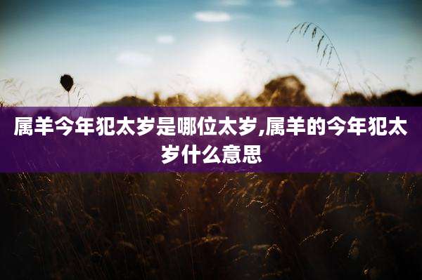 属羊今年犯太岁是哪位太岁,属羊的今年犯太岁什么意思