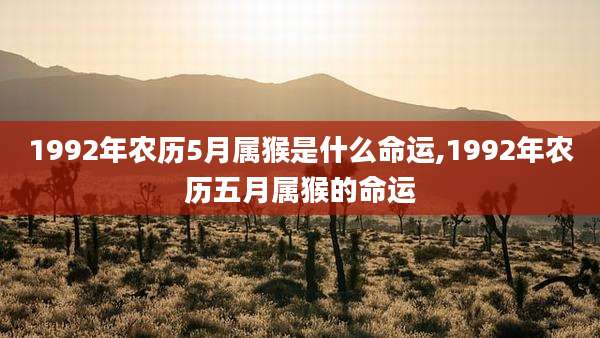 1992年农历5月属猴是什么命运,1992年农历五月属猴的命运