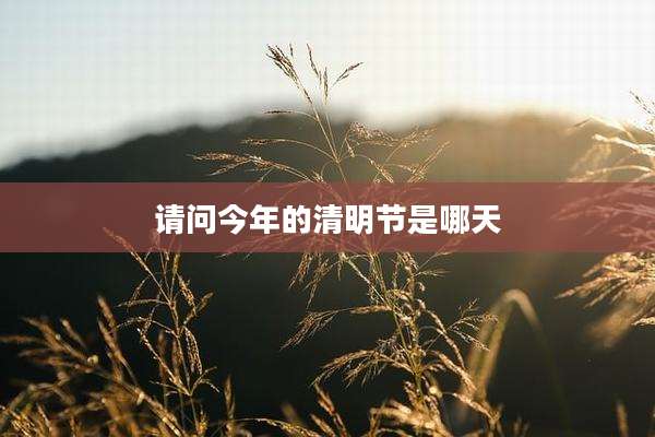 请问今年的清明节是哪天