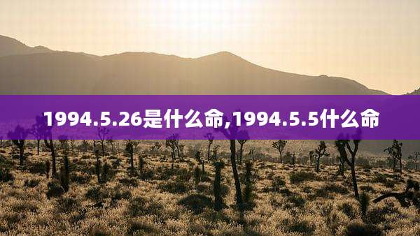 1994.5.26是什么命,1994.5.5什么命