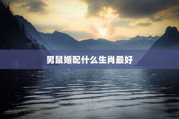 男鼠婚配什么生肖最好
