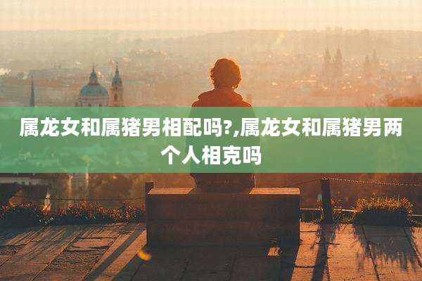 属龙女和属猪男相配吗?,属龙女和属猪男两个人相克吗