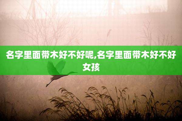 名字里面带木好不好呢,名字里面带木好不好女孩