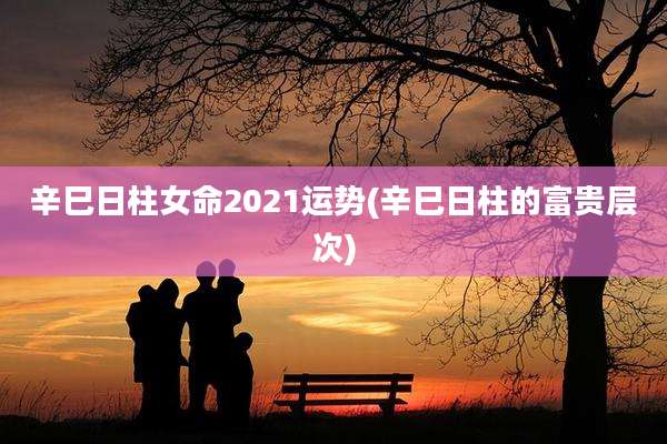 辛巳日柱女命2021运势(辛巳日柱的富贵层次)
