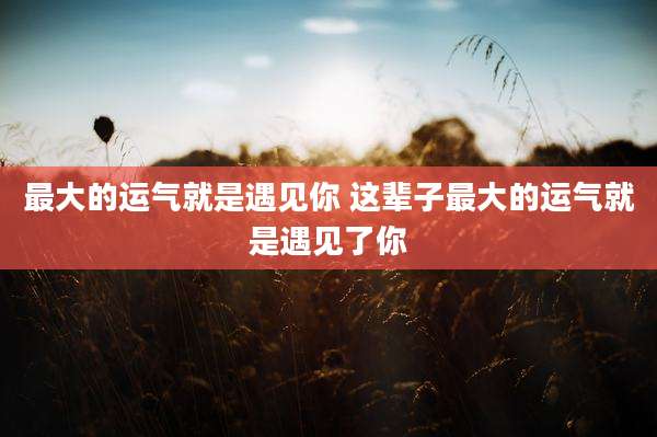 最大的运气就是遇见你 这辈子最大的运气就是遇见了你