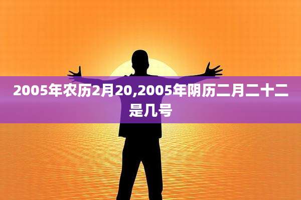 2005年农历2月20,2005年阴历二月二十二是几号