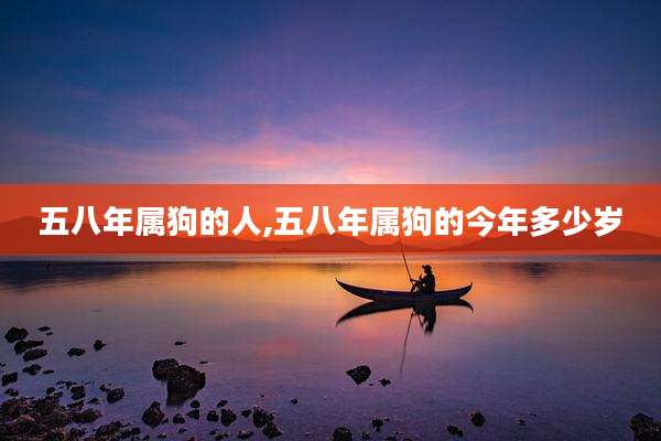 五八年属狗的人,五八年属狗的今年多少岁