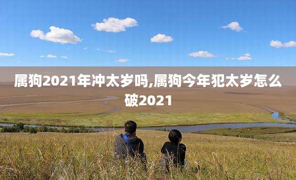 属狗2021年冲太岁吗,属狗今年犯太岁怎么破2021