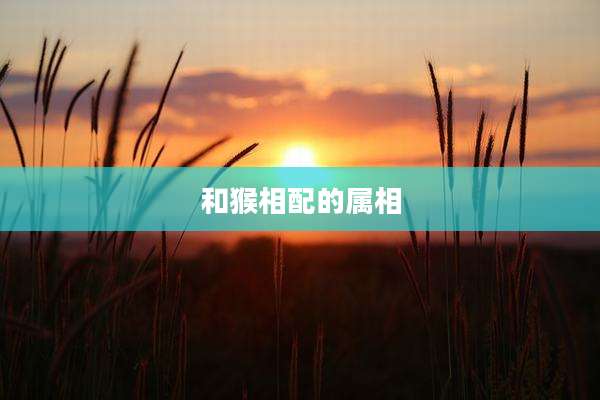 和猴相配的属相