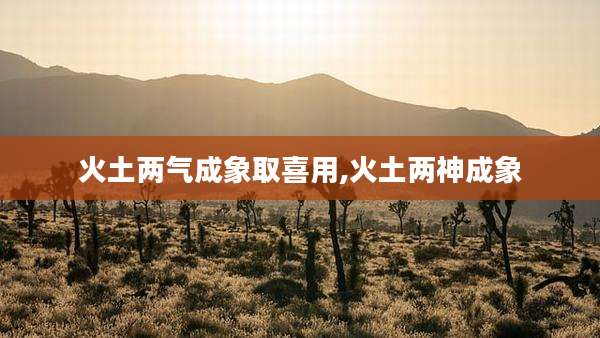 火土两气成象取喜用,火土两神成象