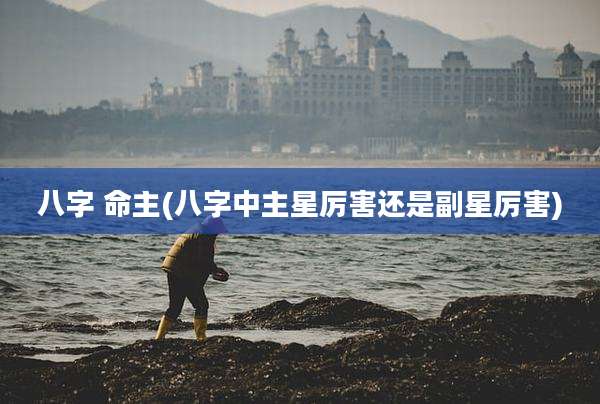 八字 命主(八字中主星厉害还是副星厉害)