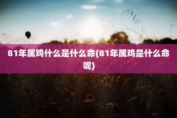 81年属鸡什么是什么命(81年属鸡是什么命呢)