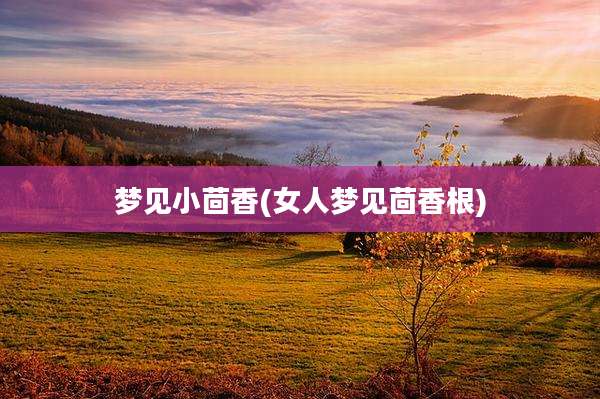 梦见小茴香(女人梦见茴香根)