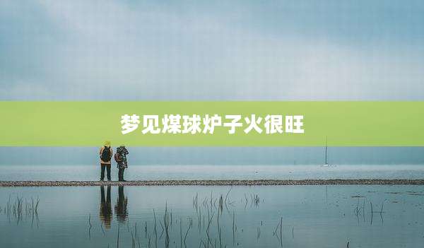 梦见煤球炉子火很旺