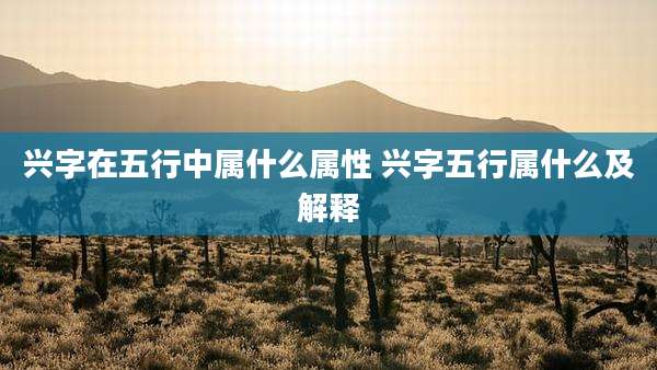 兴字在五行中属什么属性 兴字五行属什么及解释