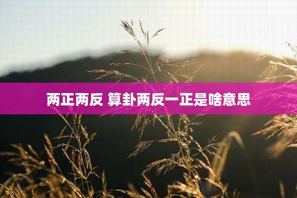 两正两反 算卦两反一正是啥意思