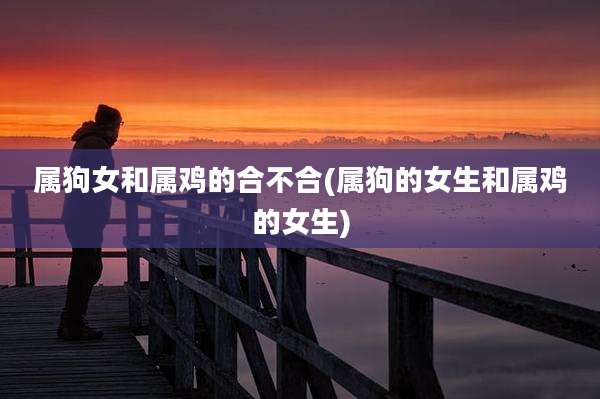 属狗女和属鸡的合不合(属狗的女生和属鸡的女生)