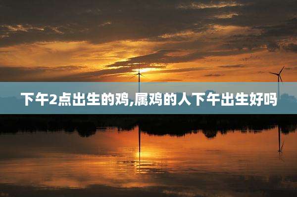 下午2点出生的鸡,属鸡的人下午出生好吗