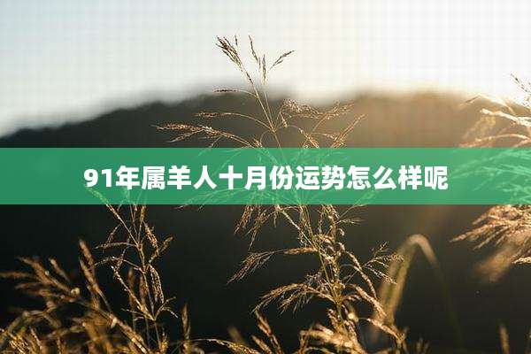91年属羊人十月份运势怎么样呢