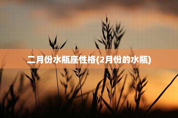 二月份水瓶座性格(2月份的水瓶)
