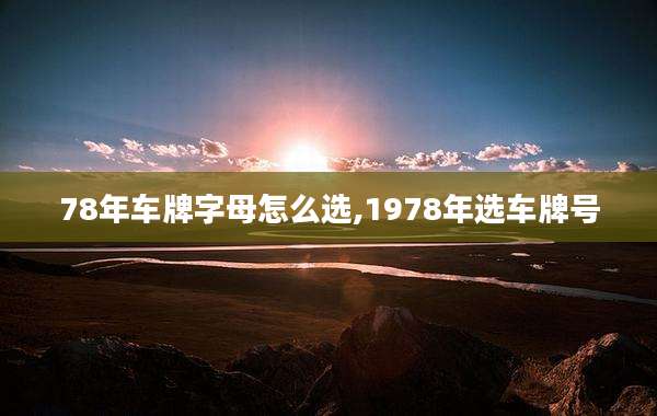 78年车牌字母怎么选,1978年选车牌号