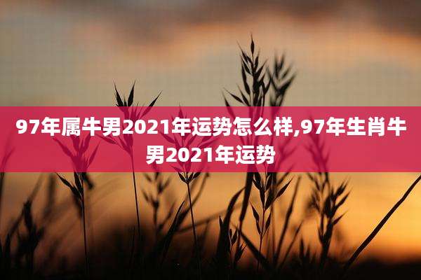 97年属牛男2021年运势怎么样,97年生肖牛男2021年运势