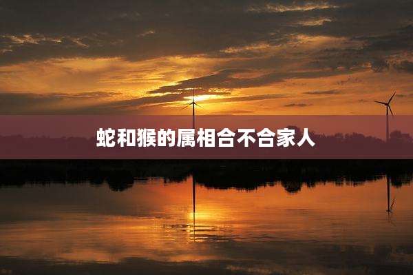 蛇和猴的属相合不合家人