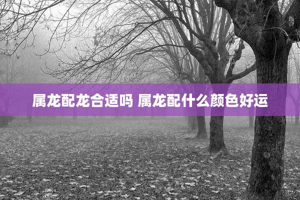 属龙配龙合适吗 属龙配什么颜色好运