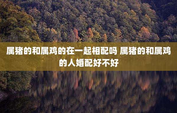 属猪的和属鸡的在一起相配吗 属猪的和属鸡的人婚配好不好
