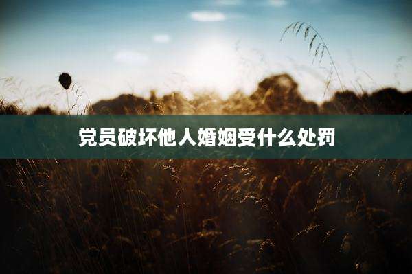 党员破坏他人婚姻受什么处罚