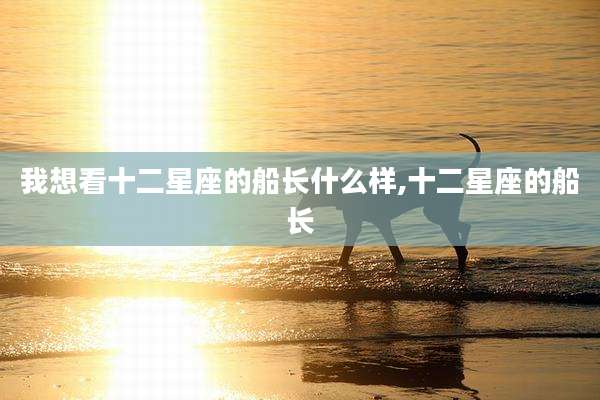 我想看十二星座的船长什么样,十二星座的船长