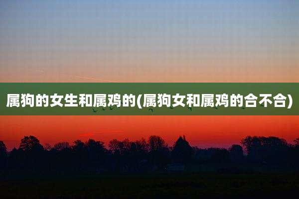 属狗的女生和属鸡的(属狗女和属鸡的合不合)