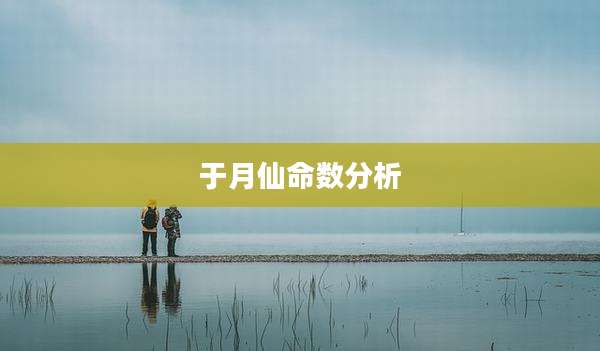 于月仙命数分析