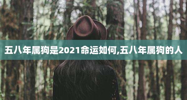 五八年属狗是2021命运如何,五八年属狗的人