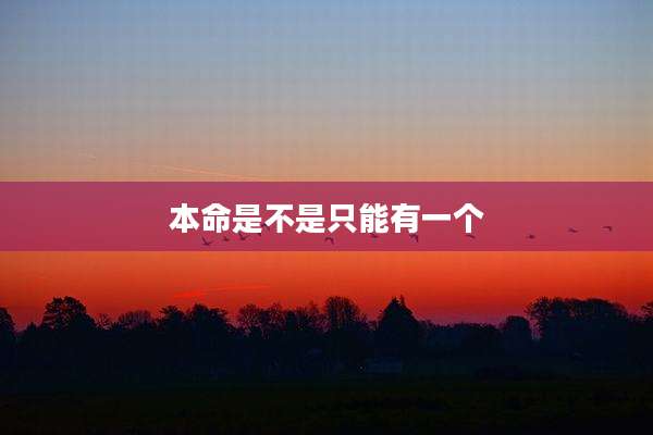本命是不是只能有一个