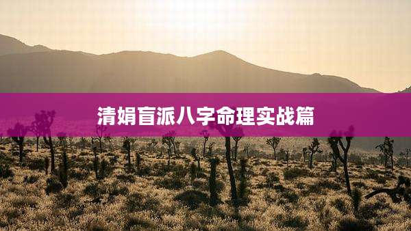 清娟盲派八字命理实战篇