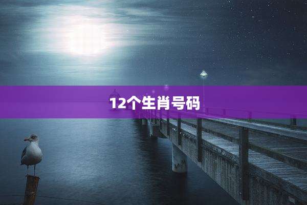12个生肖号码