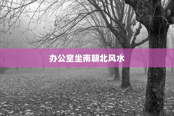 办公室坐南朝北风水