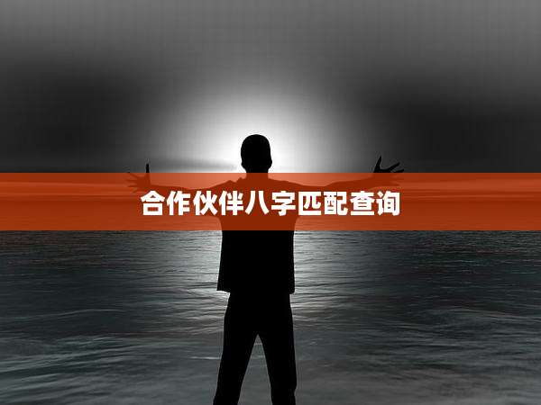 合作伙伴八字匹配查询