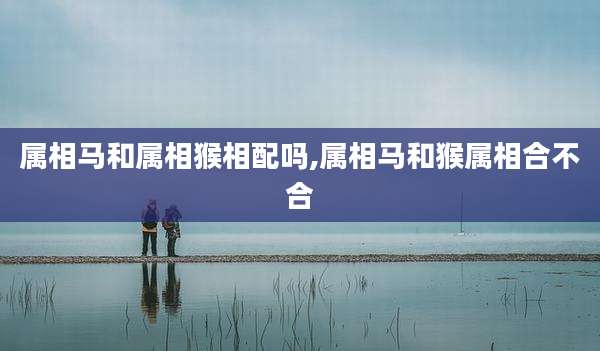 属相马和属相猴相配吗,属相马和猴属相合不合