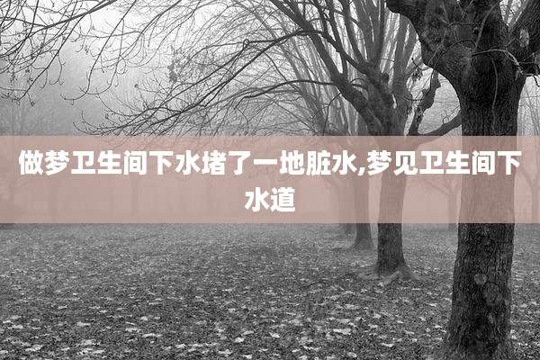 做梦卫生间下水堵了一地脏水,梦见卫生间下水道