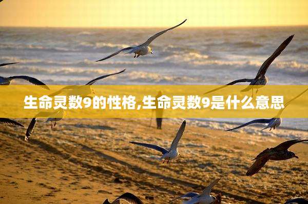 生命灵数9的性格,生命灵数9是什么意思