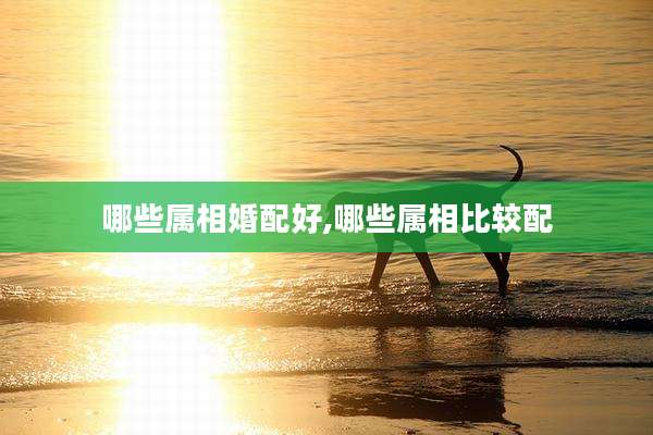 哪些属相婚配好,哪些属相比较配