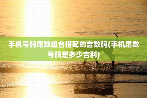手机号码尾数组合搭配的吉数码(手机尾数号码是多少吉利)