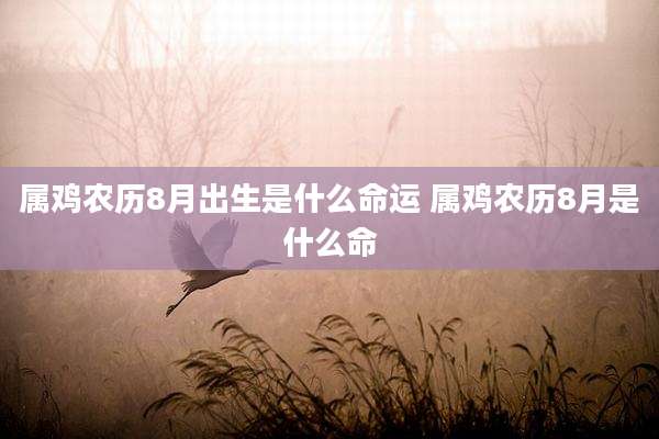 属鸡农历8月出生是什么命运 属鸡农历8月是什么命
