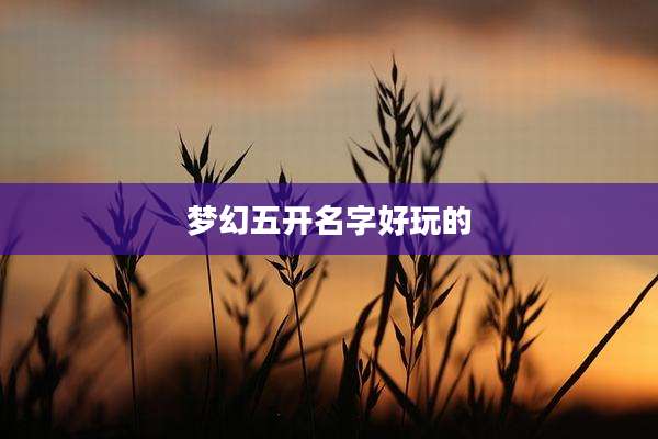 梦幻五开名字好玩的